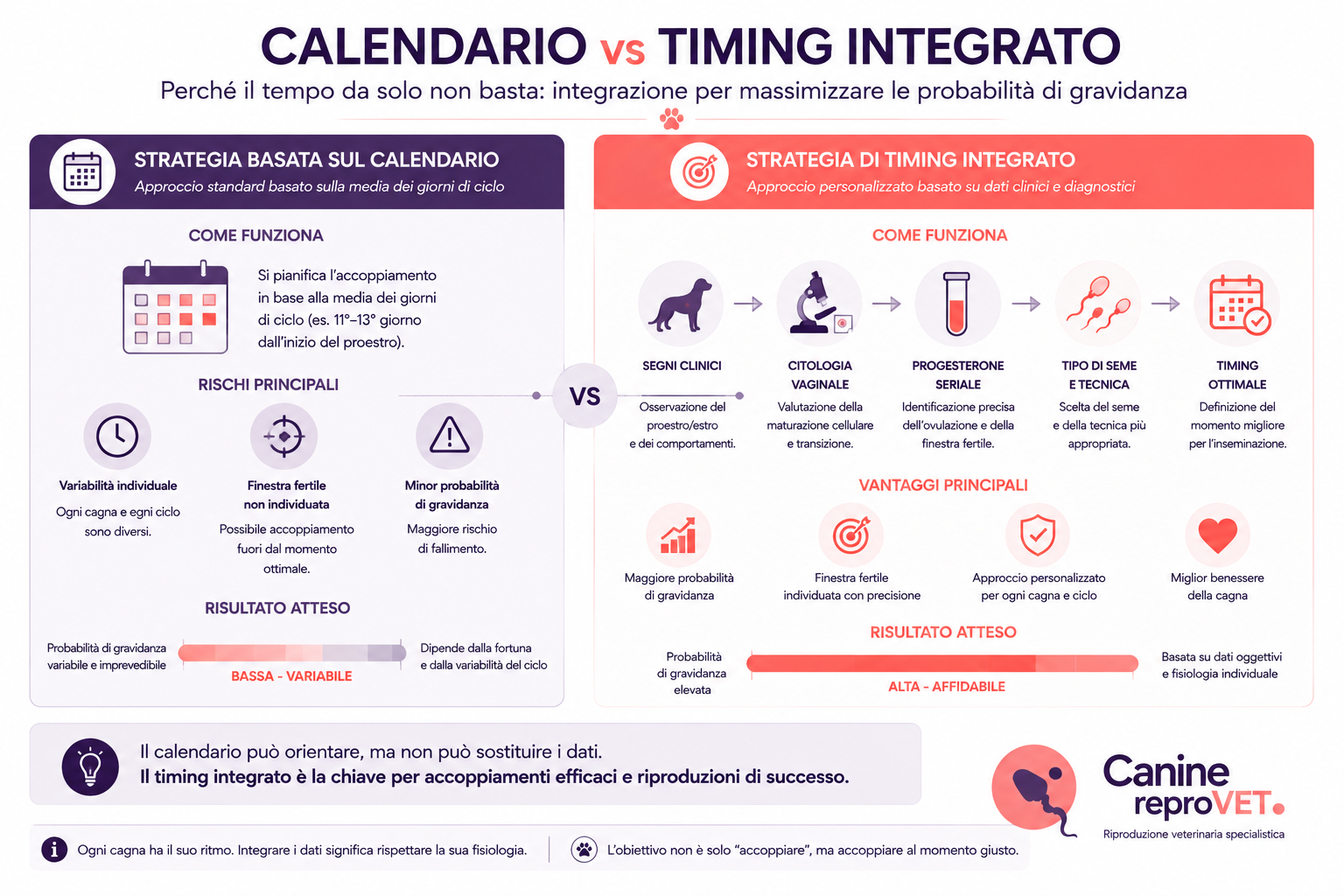 Confronto tra accoppiamento basato sul calendario e timing riproduttivo integrato con segni clinici, citologia e progesterone.